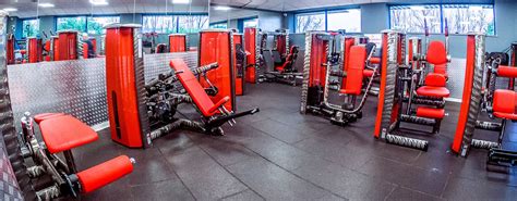 Best Gyms in Fort Lauderdale, FL - Titan Gym, The Fitness District, Powerhouse Gym Fort Lauderdale, MC Fitness Performance & Training, Legacy Fit - Ft Lauderdale, LA Fitness, Bodytek Fitness Wilton Manors, Crunch Fitness - Oakland Park, Equinox Aventura, Core954 